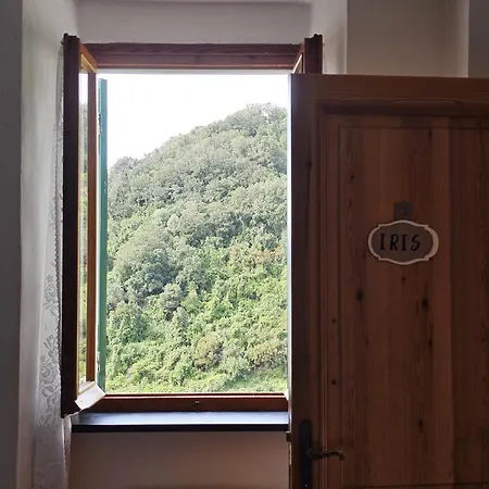 招待所 La Lanterna *